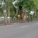 Ket poto: suasana Jalan Ngurah Rai Negara, bersih dari PKL