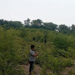 Ket poto: Kondisi Hutan Bali Barat di tengah TNBB