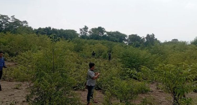 Ket poto: Kondisi Hutan Bali Barat di tengah TNBB