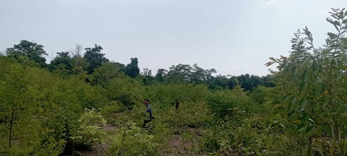 Ket poto: Kawasan Hutan Bali Barat yang di klain KPH Bali Barat