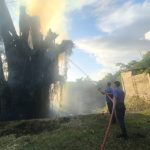 Ket poto: Petugas Damkar berusaha memadamkan api di pohon beringin