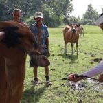 Dok Humas Jembrana Dok Humas Jembrana