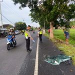 Ket poto: Lokasi kecelakan truk melawan truk di Desa Penyaringan