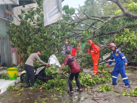 Ket poto: Petugas Gabungan evakuasi pohon tumbang di Jalan Kepiting, Kecamatan Banyuwangi.