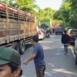 Ket poto: antrean kendaraan di hutan Cekik, Kelurahan Gilimanuk, Melaya