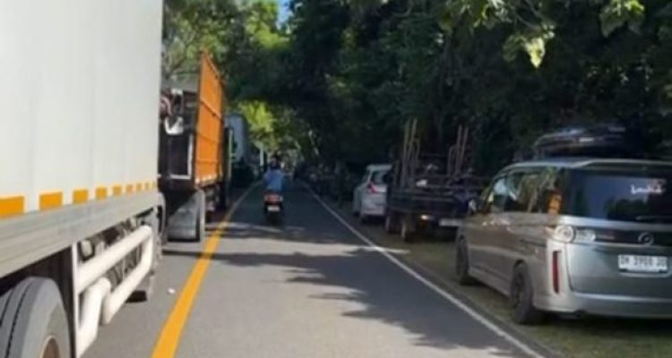 Ket poto: Beberapa truk besar antre sampai di hutan Cekik, Kelurahan Gilimanuk, Jembrana