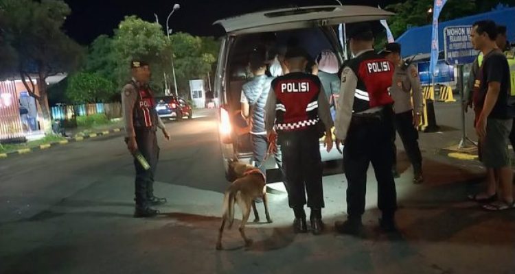 Ket poto: Petugas kepolisian menuntun anjing pelacak saat mengecek barang bawaan di kendaraan