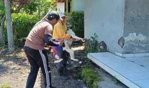 Ket poto: proses vaksinasi rabies di Desa Pohsanten, Mendoyo, Jembrana