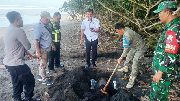 Ket poto: Petugas kubur bangkai penyu Lekang yang terdampar di Pantai Yehembang