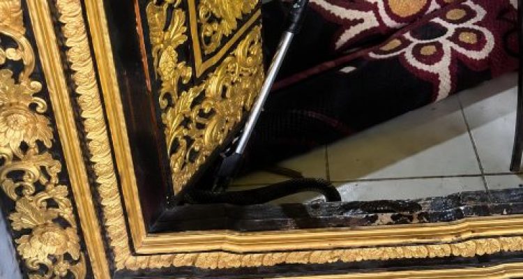 Ket poto: Anggota Damkar saat evakuasi ular di salah satu rumah warga di Kecamatan Melaya Ket poto: Anggota Damkar saat evakuasi ular di salah satu rumah warga di Kecamatan Melaya