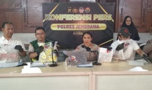 Ket poto: Polres Jembrana ungkap kasus sindikat SKH palsu