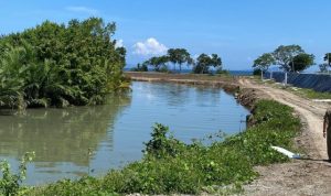 Ket poto: Lokasi Tambak Udang Vaname di Desa Candikusuma