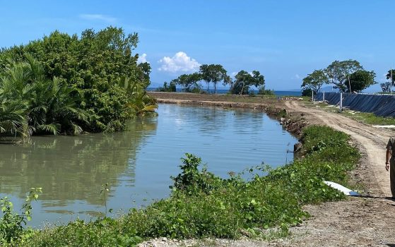 Ket poto: Lokasi Tambak Udang Vaname di Desa Candikusuma