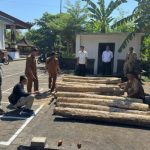 Ket poto: Petugas kepolisian saat mengamankan barang bukti berupa kayu jati di Mapolres Jembrana