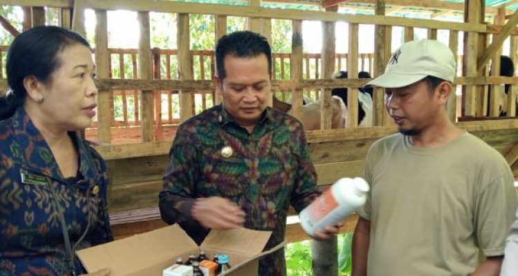 Ket poto: Bupati Jembrana I Made Kembang Hartawan saat menyerahkan obat-obatan untuk ternak kambing di Banjar Palunganbatu