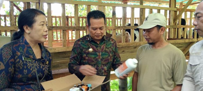 Ket poto: Bupati Jembrana I Made Kembang Hartawan saat menyerahkan obat-obatan untuk ternak kambing di Banjar Palunganbatu