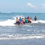 Ket poto: warga desa Perancak berusaha menyelamatkan ikan Paus yang terdampar di Pantai Perancak