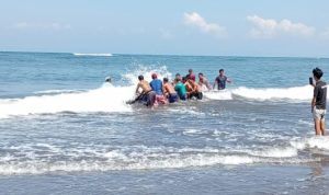 Ket poto: warga desa Perancak berusaha menyelamatkan ikan Paus yang terdampar di Pantai Perancak