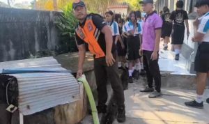 Ket poto: BPBD Jembrana salurkan air bersih di sumur bos sekolah Ket poto: BPBD Jembrana salurkan air bersih di sumur bos sekolah
