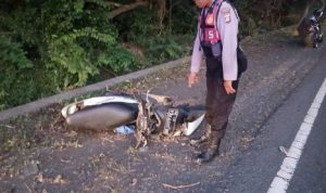 Ket poto: Kondisi sepeda motor korban usai tertabrak truk trailer di Melaya Ket poto: Kondisi sepeda motor korban usai tertabrak truk trailer di Melaya
