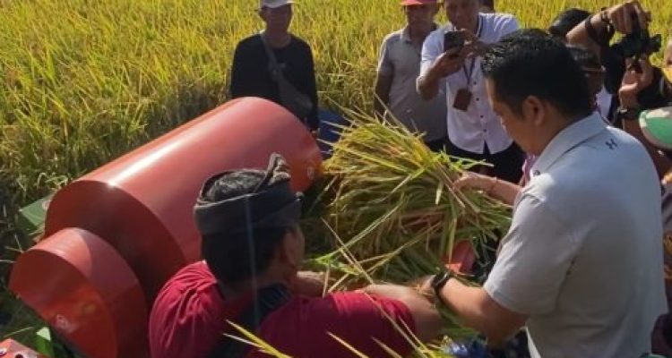 Dok Humas Jembrana Dok Humas Jembrana