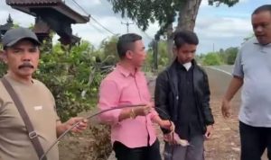 Ket poto: Ketua Komisi II DPRD Kabupaten Jembrana, I Ketut Suastika bersama korban (baju hitam) saat cek kabel yang menjerat leher korban di Desa Tuwed, Melaya
