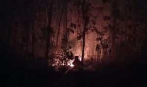Ket poto: Petugas Damkar saat berusaha memadamkan api di kebun Jati Lelateng