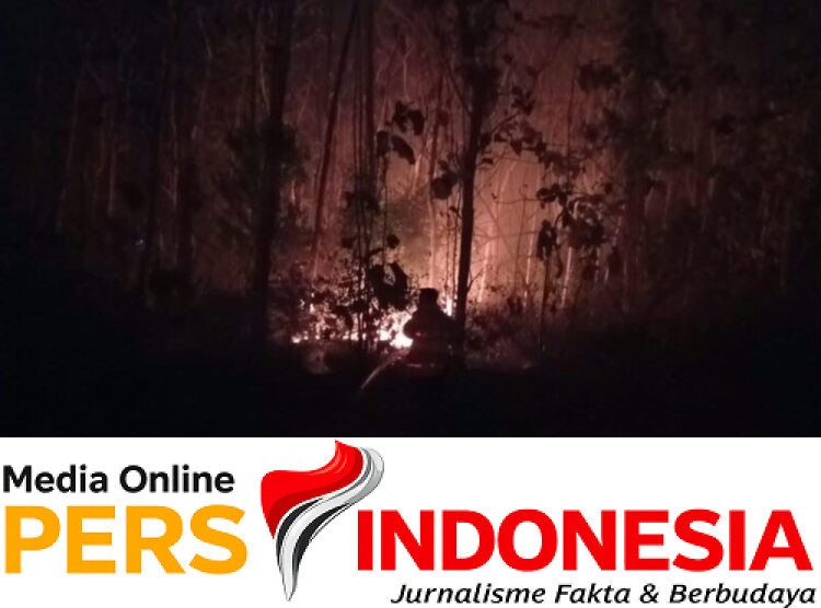 Ket poto: Petugas Damkar saat berusaha memadamkan api di kebun Jati Lelateng