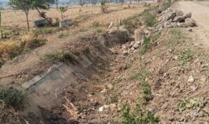 Ket poto: Irigasi sawah di Kecamatan Balapulang, Kabupaten Tegal yang ditutup Proyek Rehabilitasi Daerah Irigasi (DI) Kumisik