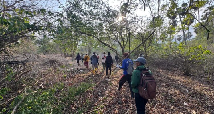 Ket poto: Kondisi Hutan Bali Barat Cekik)
